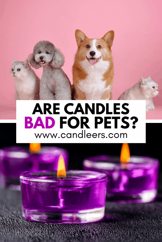 Are Candles Bad For Pets?