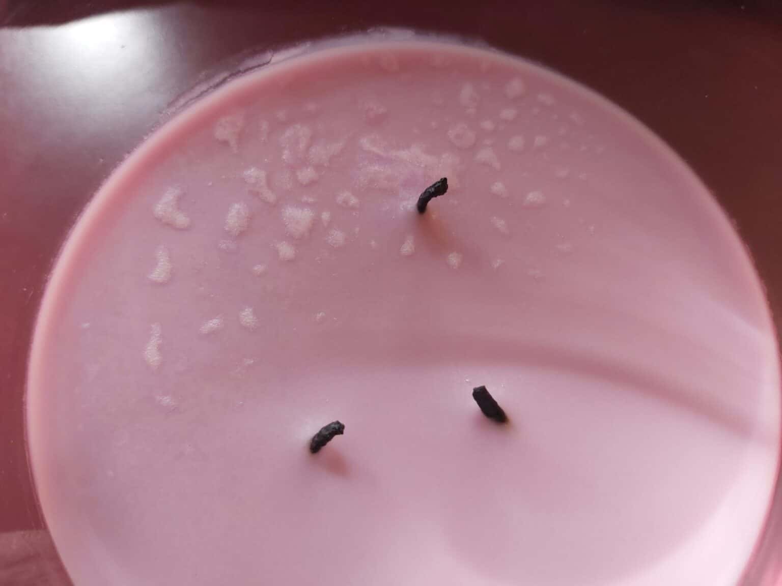 Soy Wax Candle Frosting How To Fix It and Prevent It Candleers