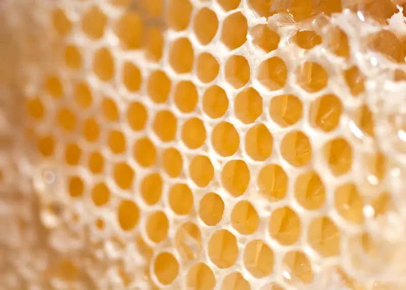 beeswax is all natural