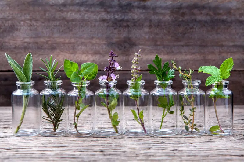 Natural Essential Oils For Candle Making